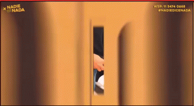 GIF animado